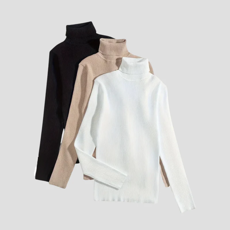 Anouk | Pull Col Roulé Chic