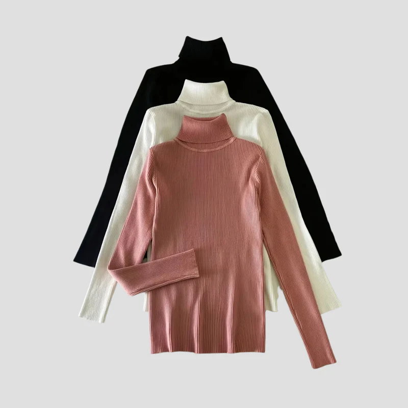 Anouk | Pull Col Roulé Chic