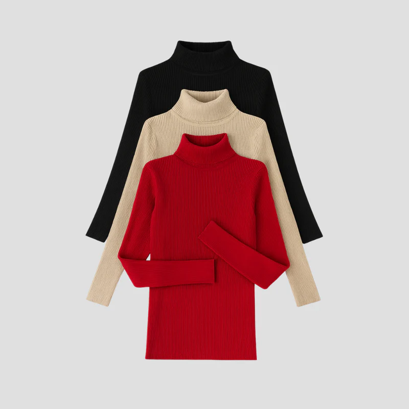 Anouk | Pull Col Roulé Chic