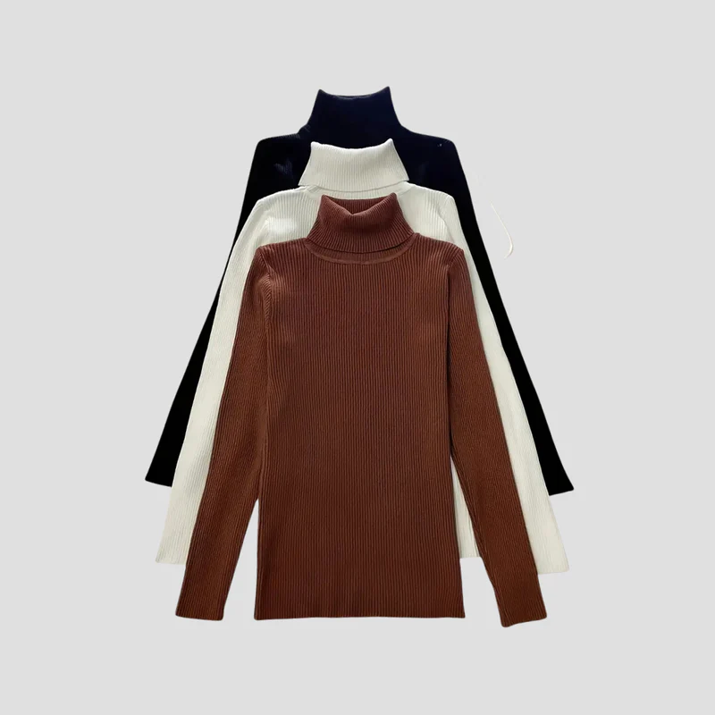 Anouk | Pull Col Roulé Chic