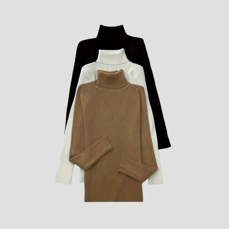 Anouk | Pull Col Roulé Chic