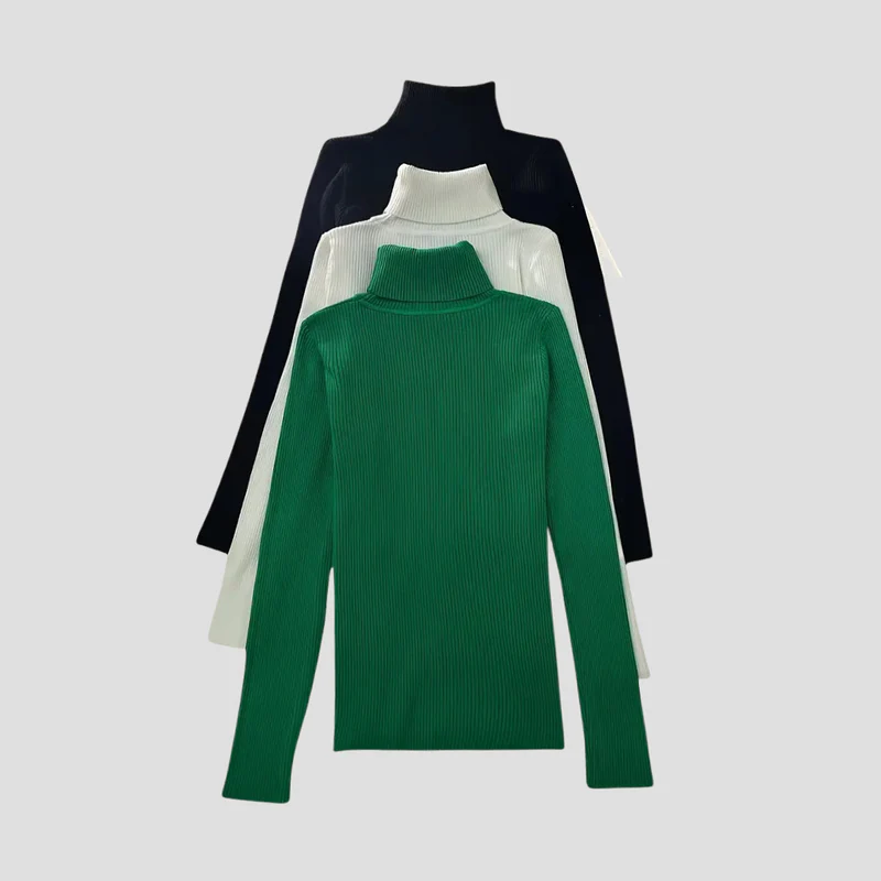 Anouk | Pull Col Roulé Chic