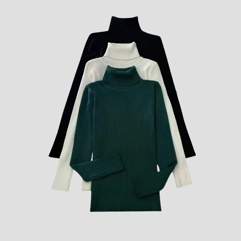 Anouk | Pull Col Roulé Chic