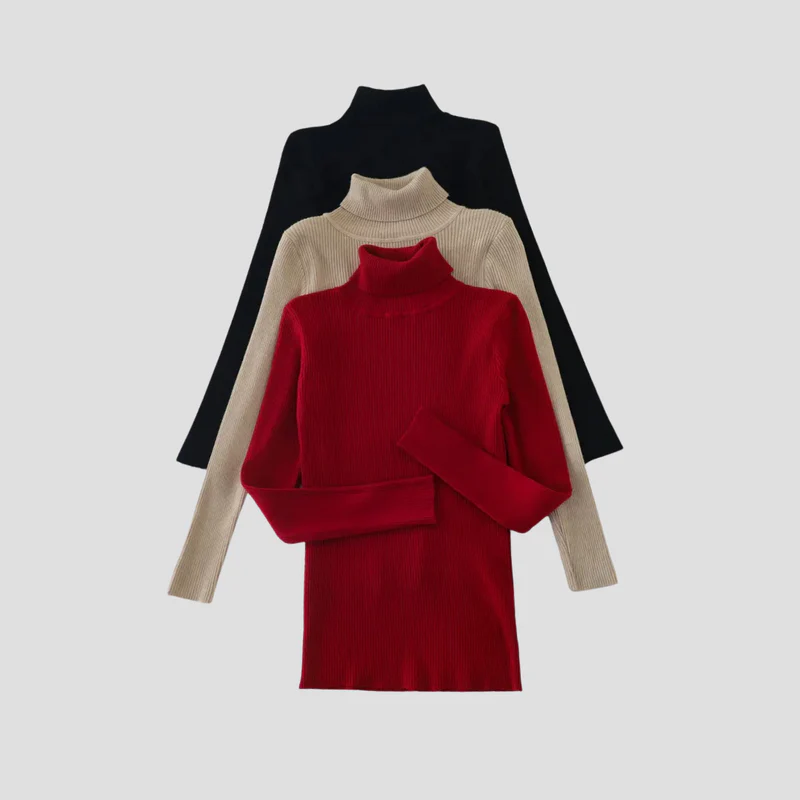 Anouk | Pull Col Roulé Chic