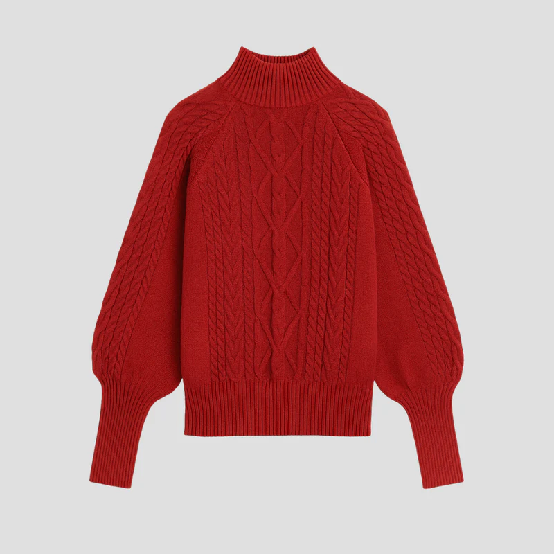 Ersilia | Pull Col Roulé Chic