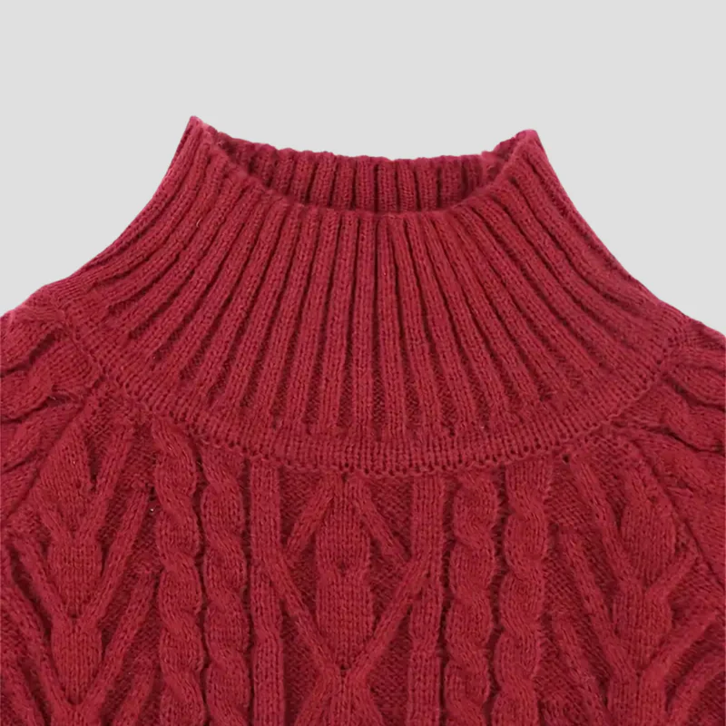 Ersilia | Pull Col Roulé Chic