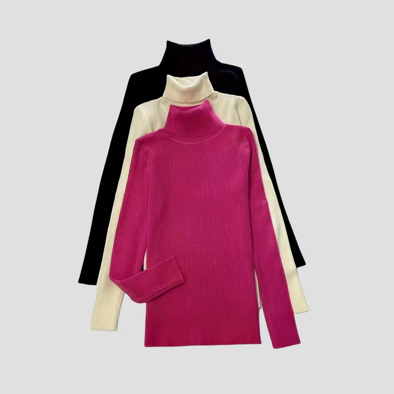 Anouk | Pull Col Roulé Chic